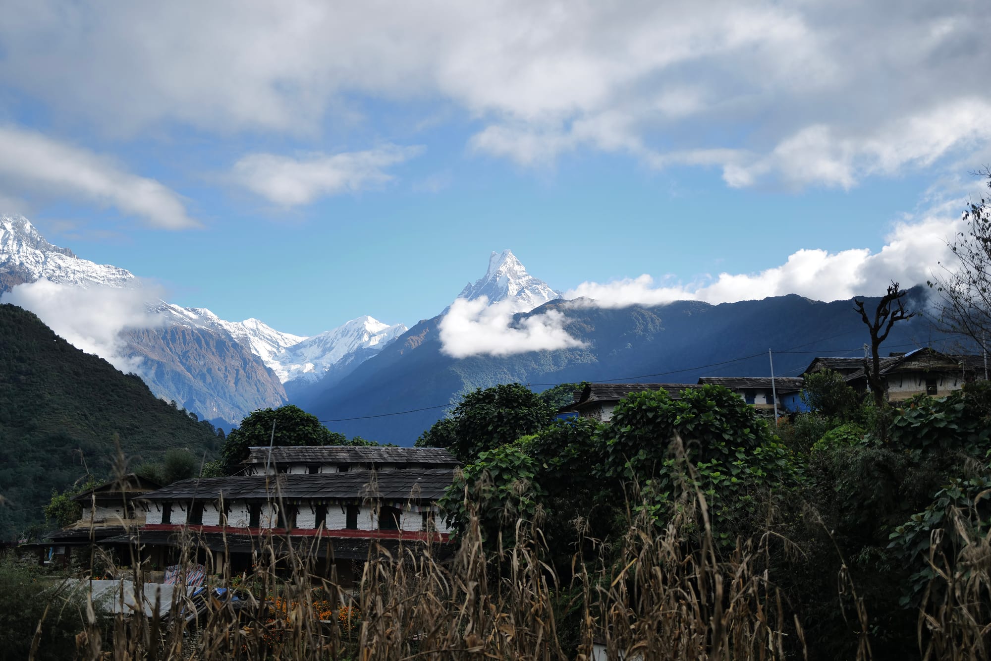 Walking Annapurna, again
