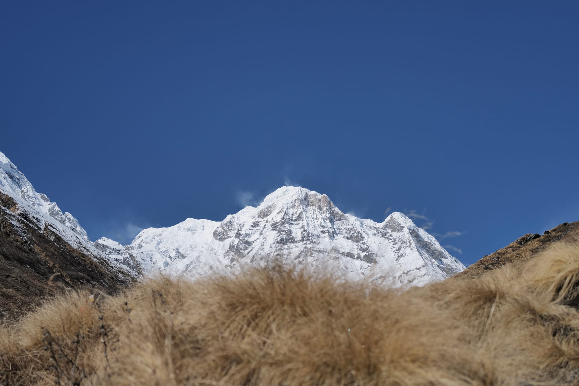 Walking Annapurna, again