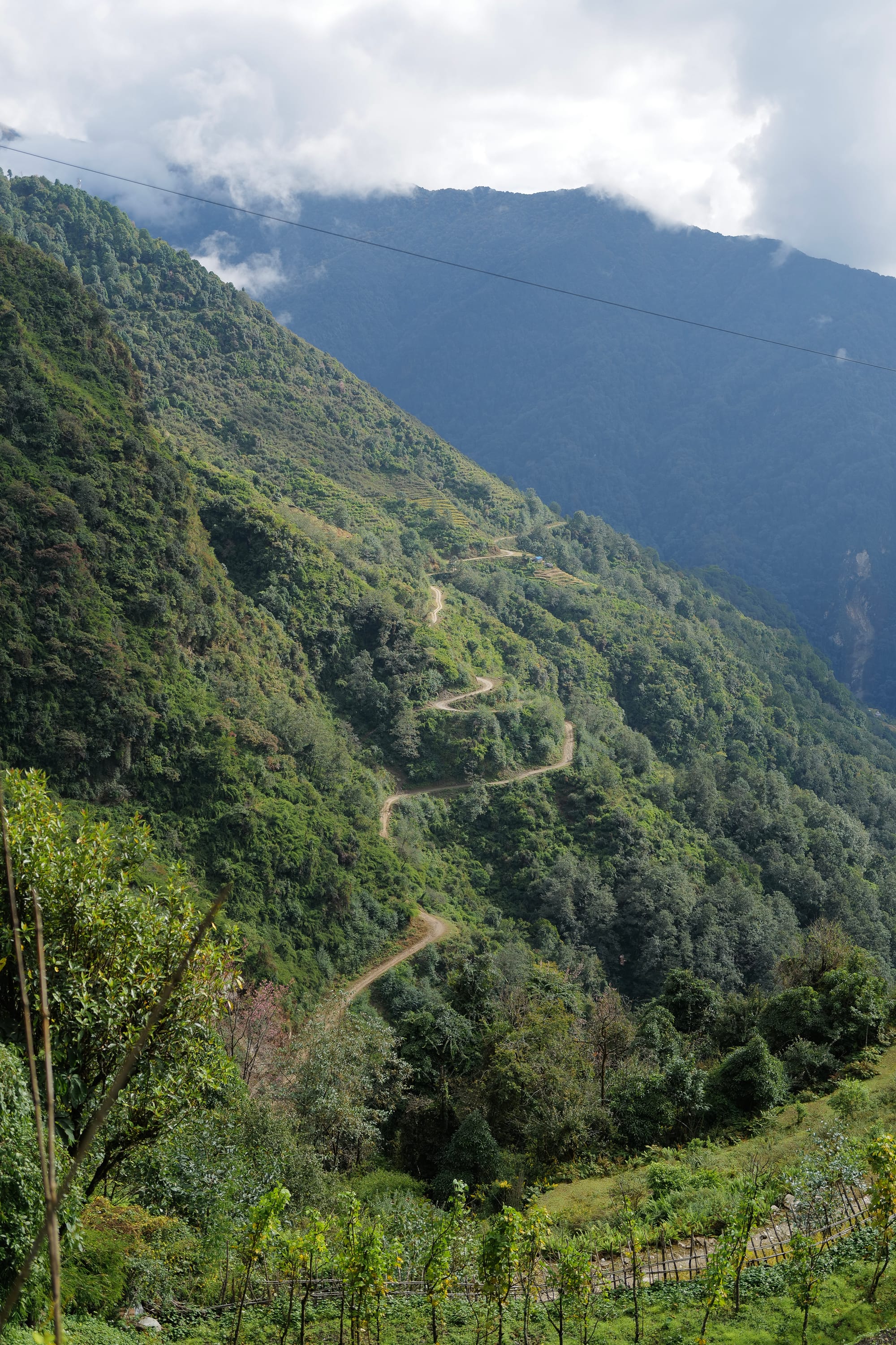 Walking Annapurna, again