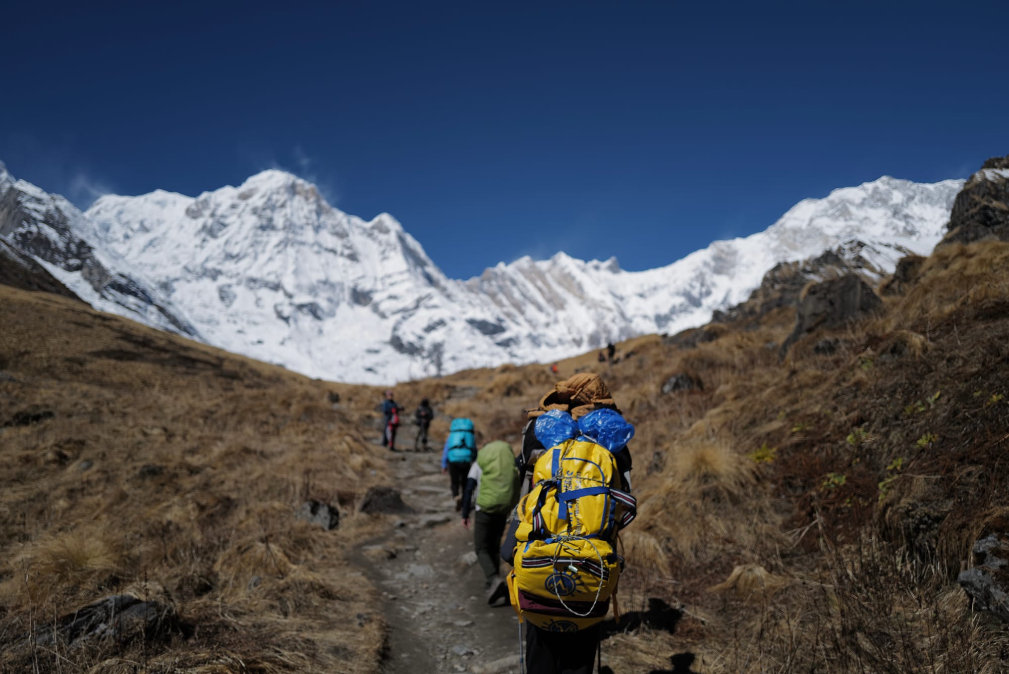 Walking Annapurna, again