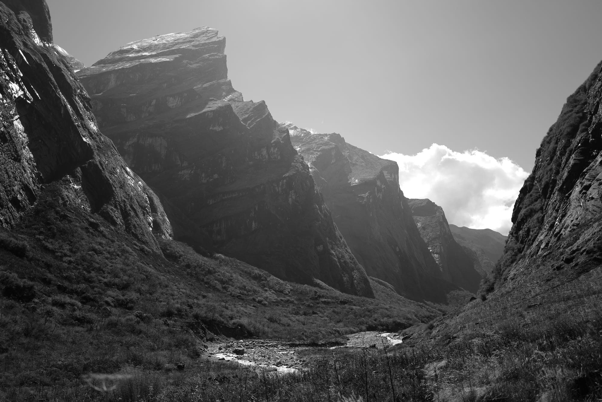 Walking Annapurna, again