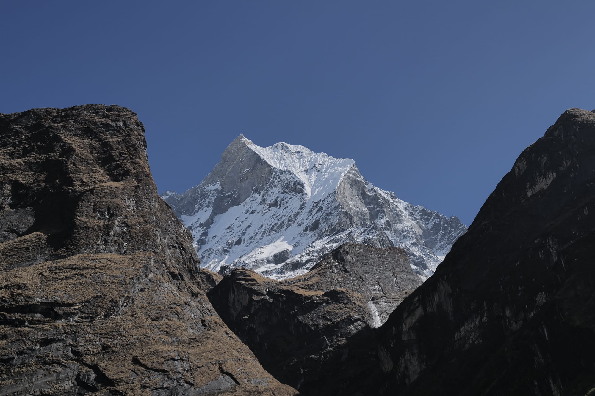 Walking Annapurna, again