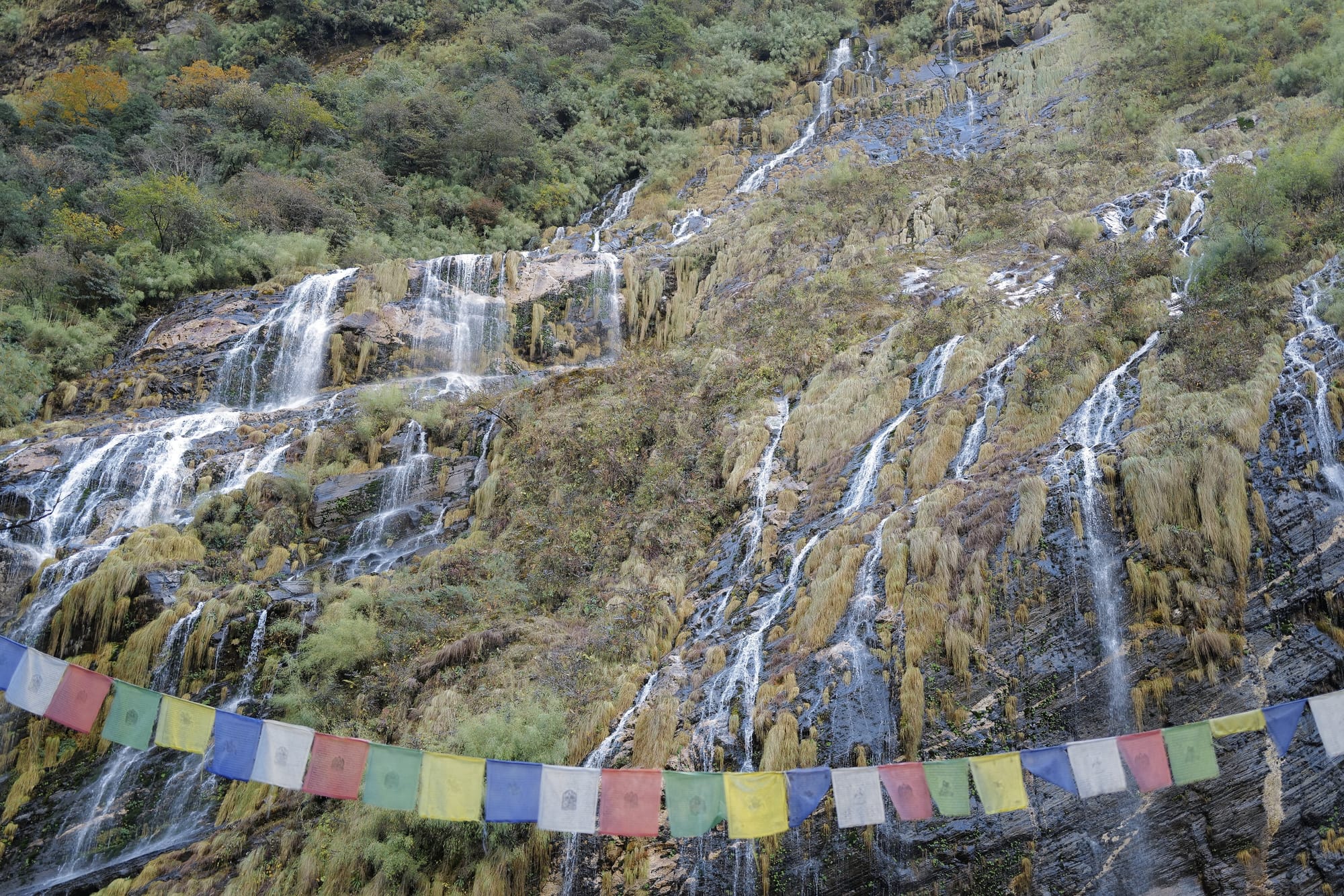 Walking Annapurna, again