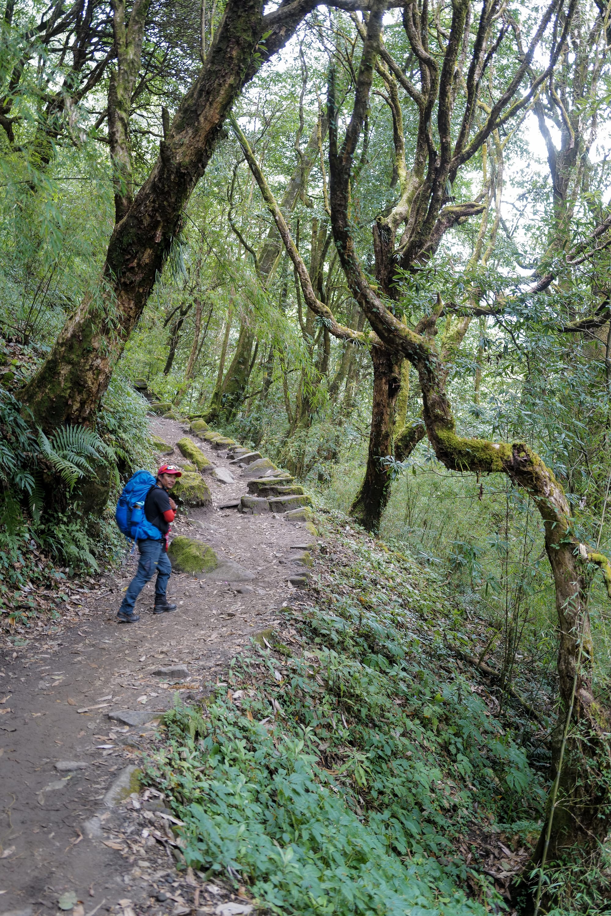 Walking Annapurna, again
