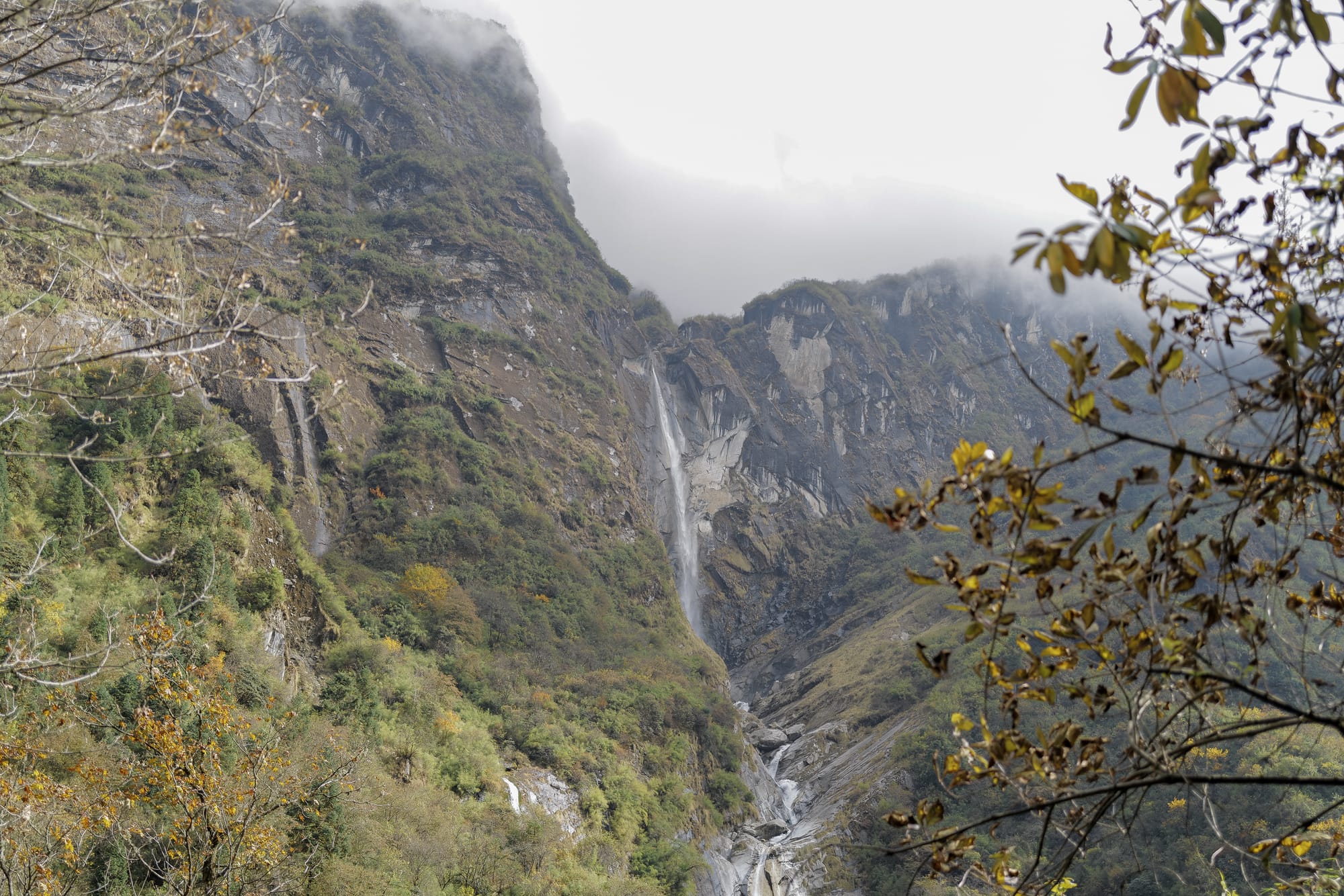 Walking Annapurna, again