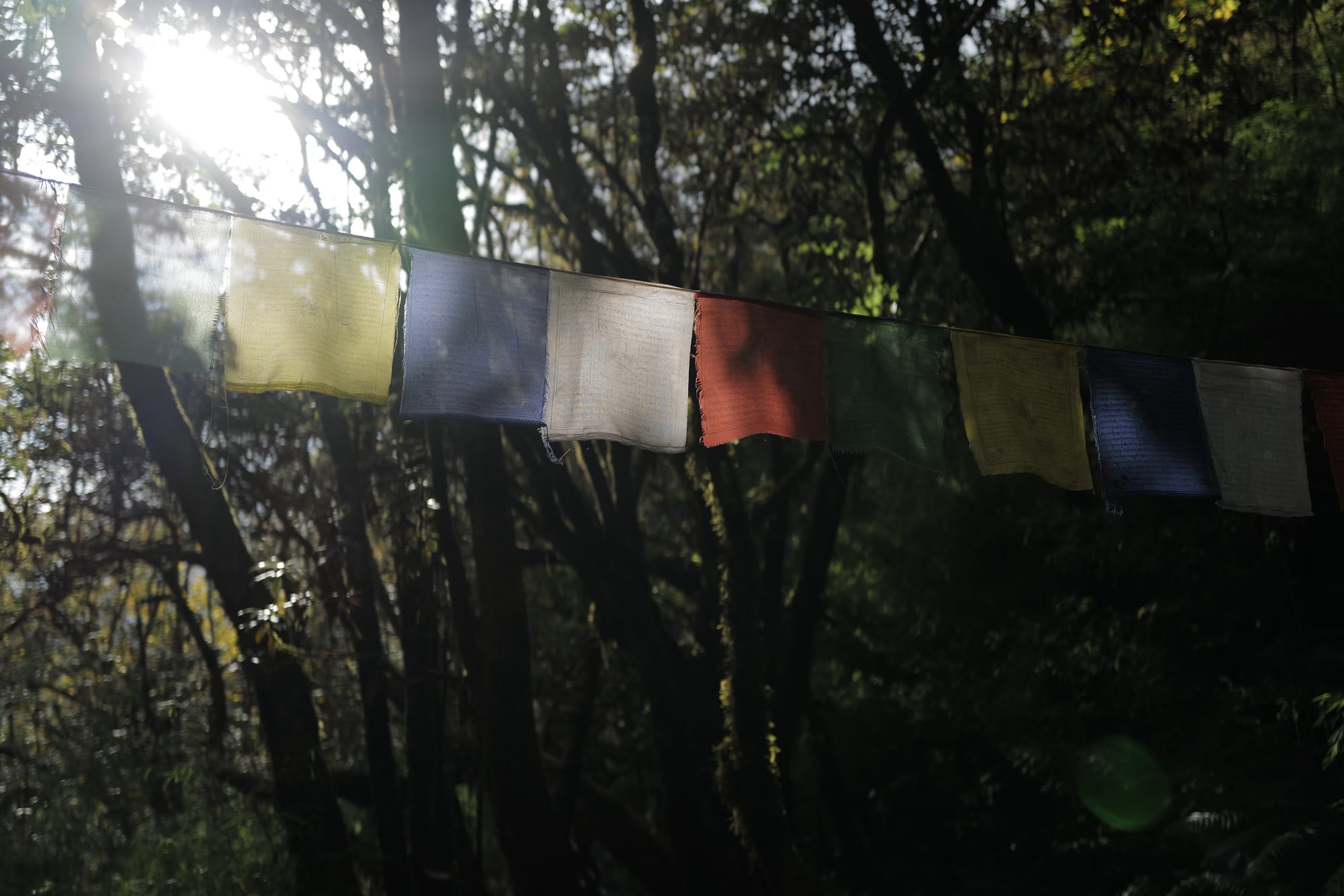 Walking Annapurna, again