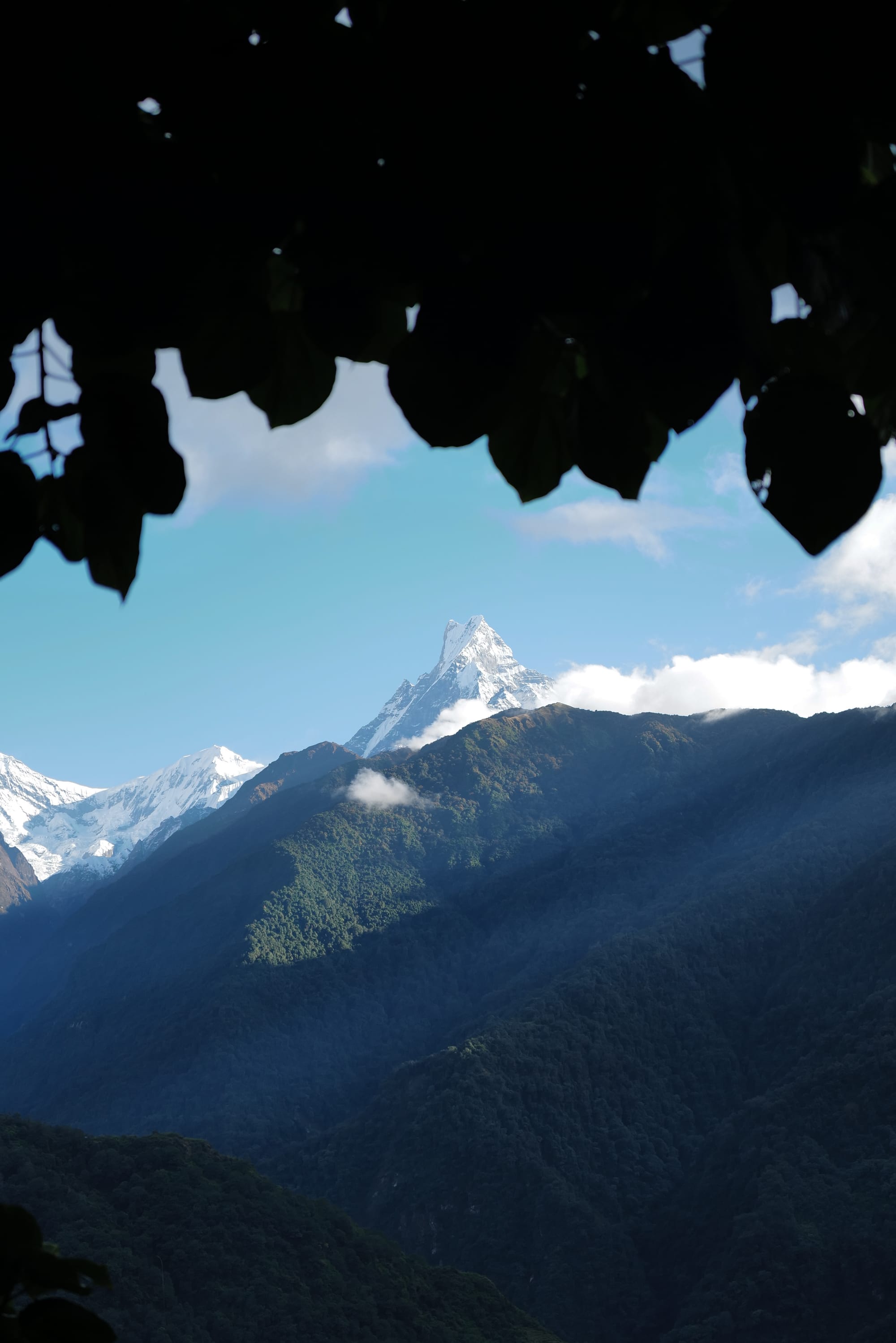Walking Annapurna, again