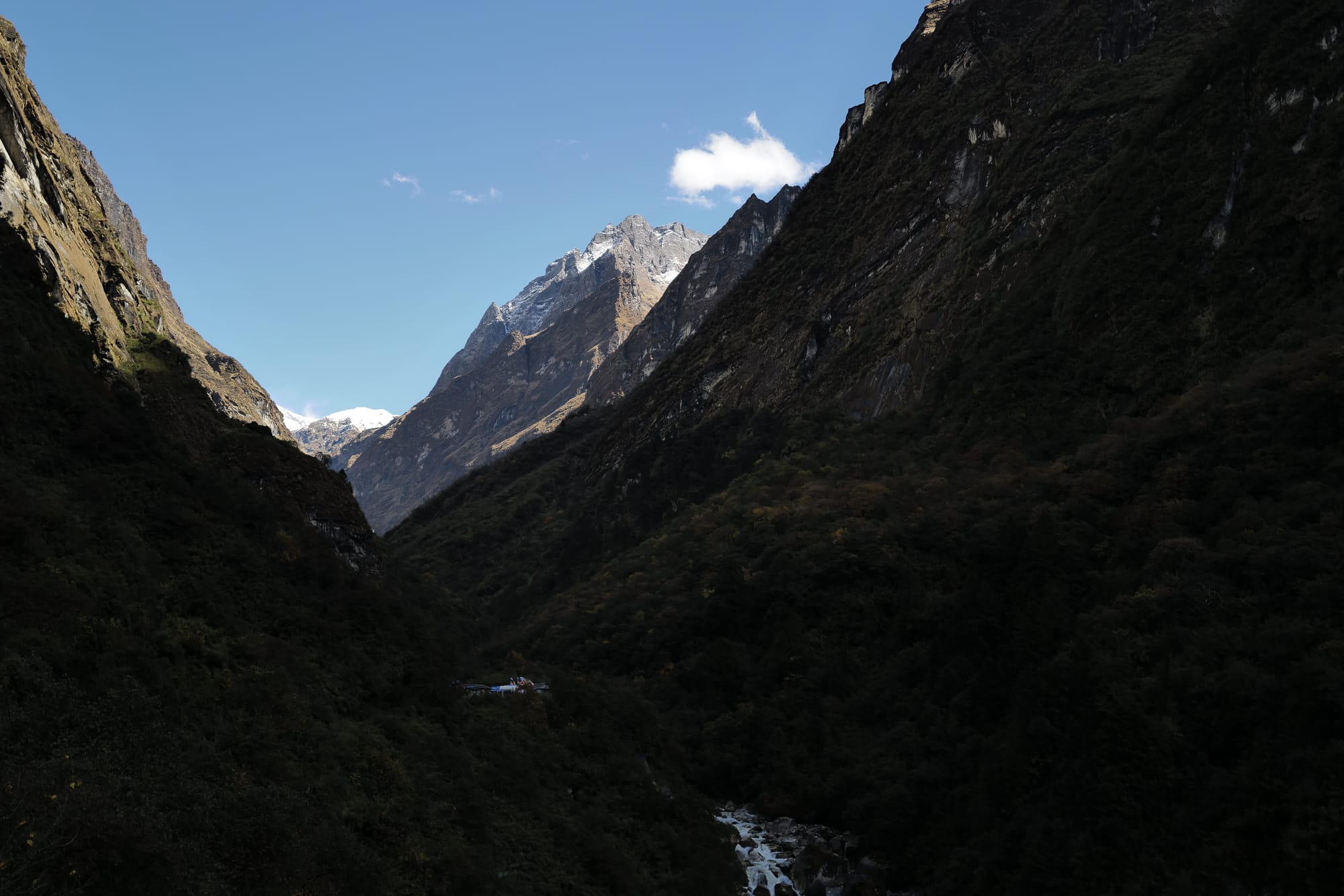 Walking Annapurna, again