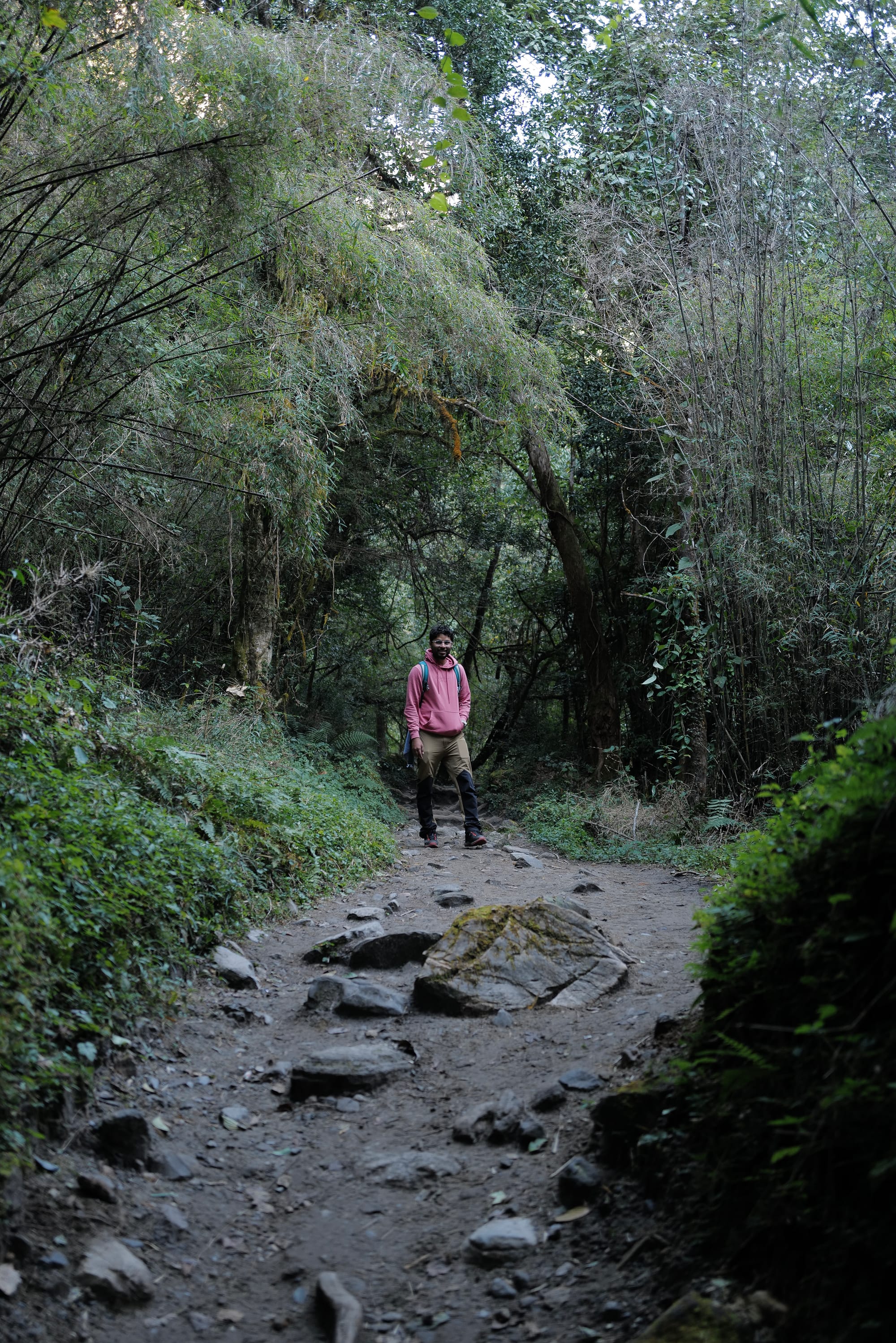 Walking Annapurna, again