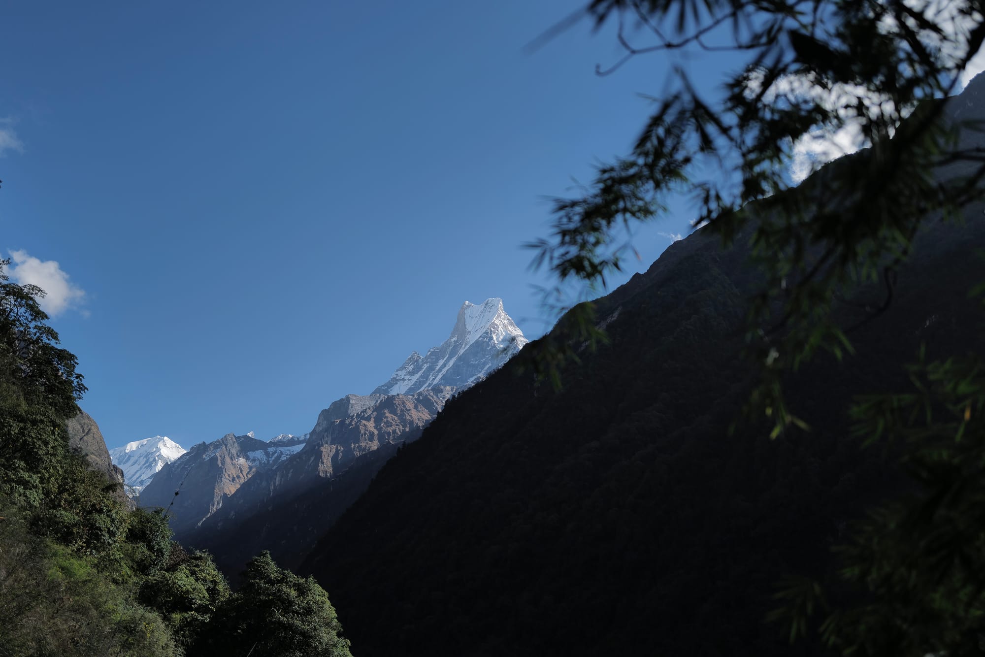 Walking Annapurna, again