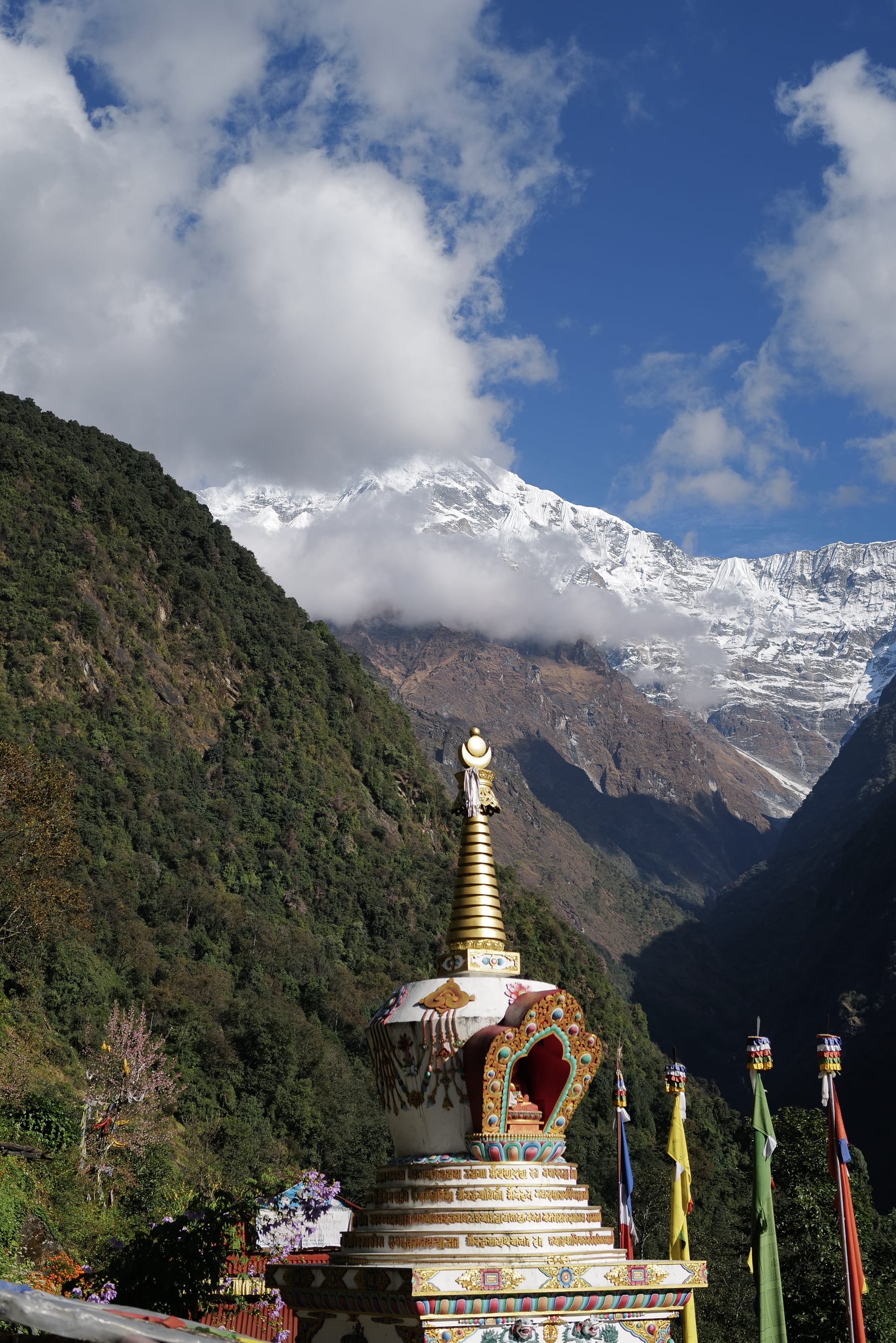 Walking Annapurna, again