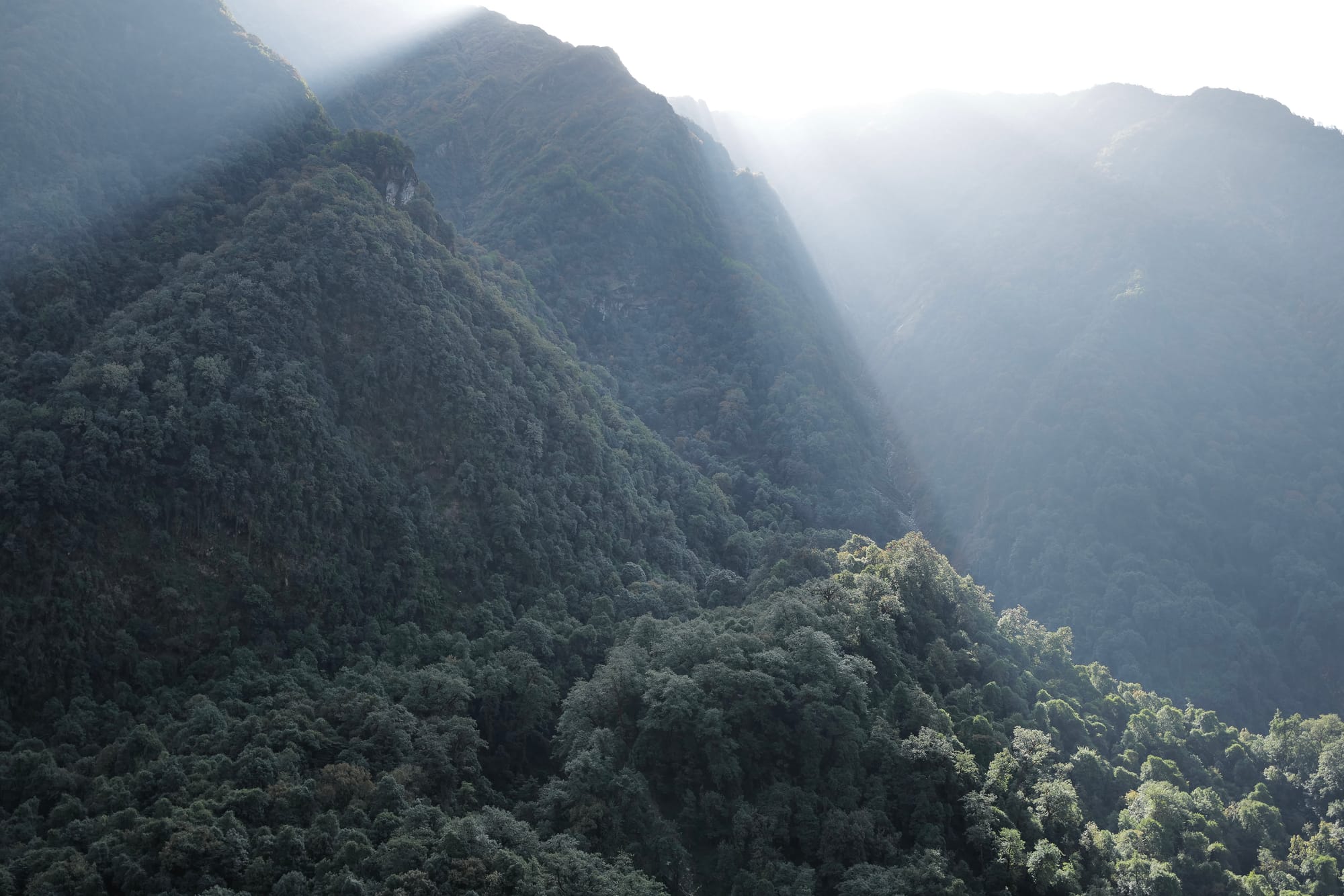 Walking Annapurna, again