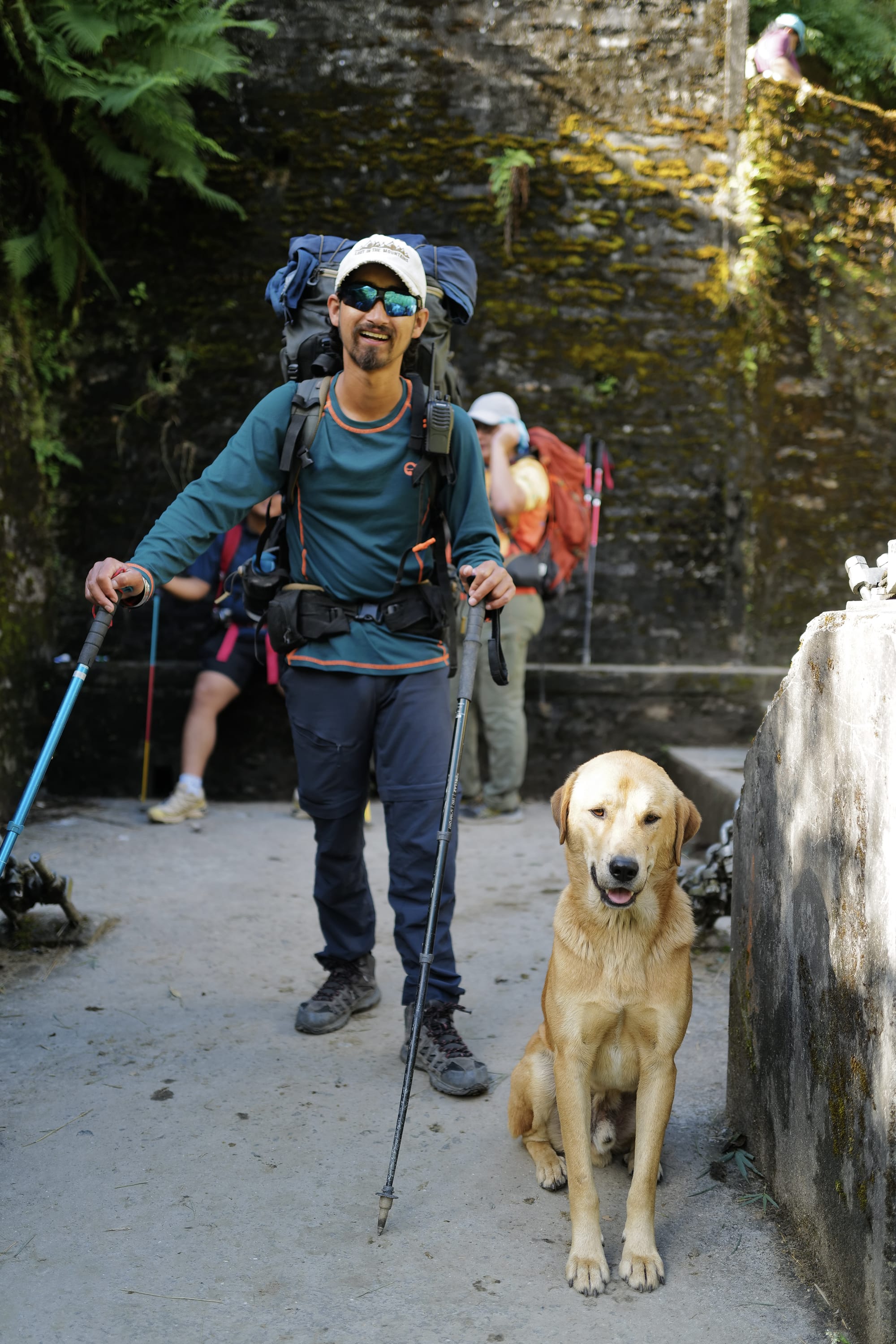 Walking Annapurna, again