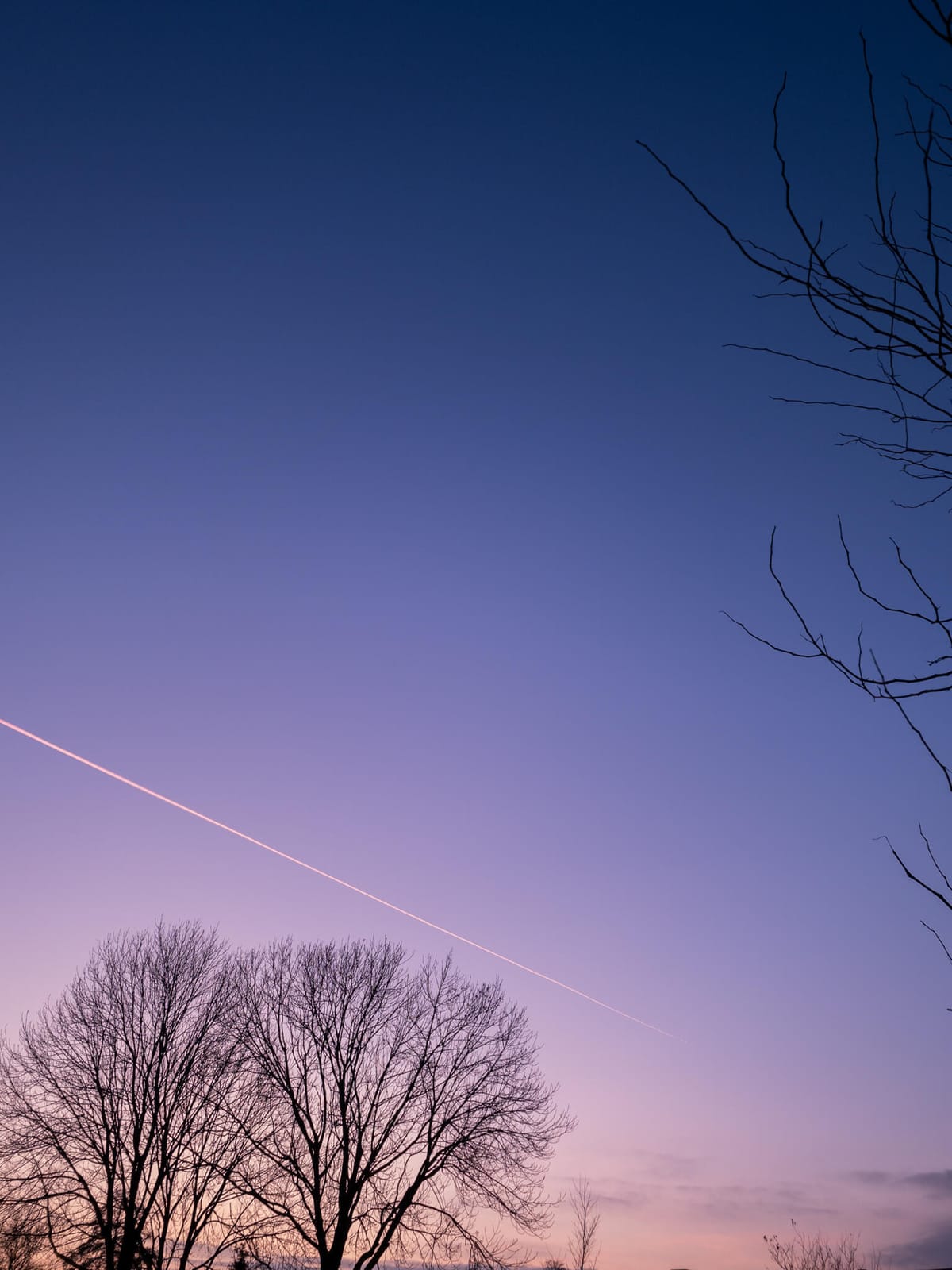 □ Placeholder: 11 — Hoge Veluwe National Park, Netherlands